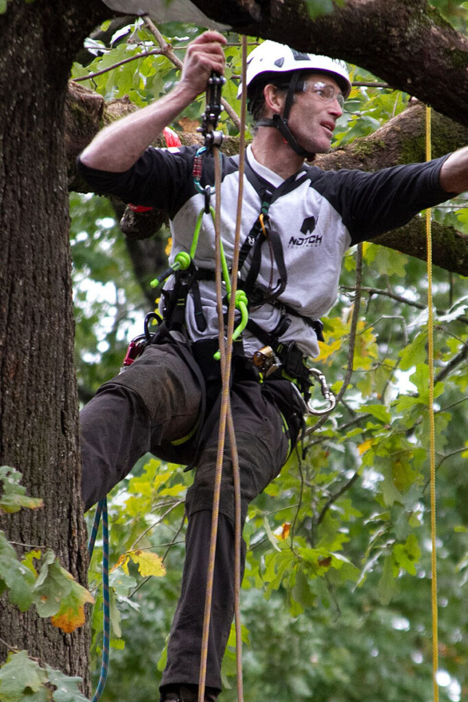 Advanced climbing gear like the Singing Tree Rope Runner SRS Climbing Device allows arborists to climb trees more efficiently while saving energy. 