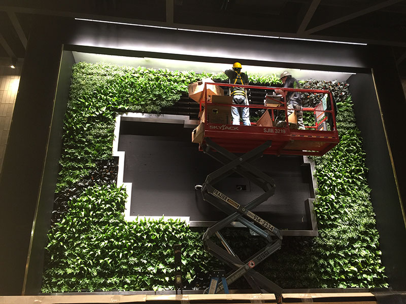 Indoor work by Planterra includes additional planning to use electric-powered scissor lifts and tarps to cover nearby floors, furniture, or artwork. Source: Planterra