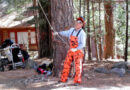 Allowing the gear to do the heavy lifting turns a demanding tree removal into a controlled, skillfully-rigged job. Source: All photos by Robert Phillips