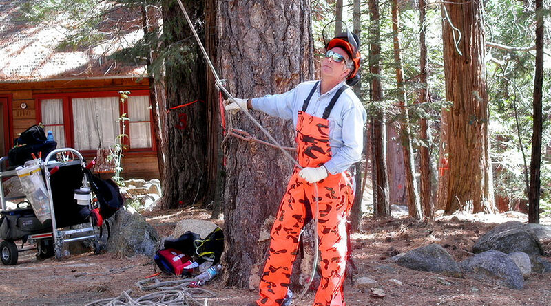 Allowing the gear to do the heavy lifting turns a demanding tree removal into a controlled, skillfully-rigged job. Source: All photos by Robert Phillips