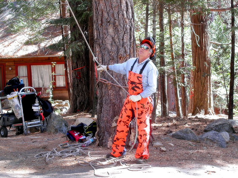 Allowing the gear to do the heavy lifting turns a demanding tree removal into a controlled, skillfully-rigged job. Source: All photos by Robert Phillips