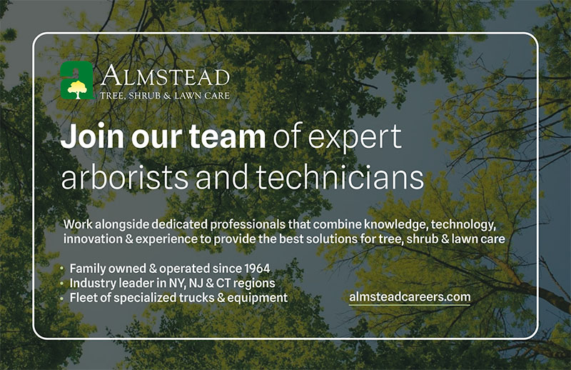 An ad for Almstead