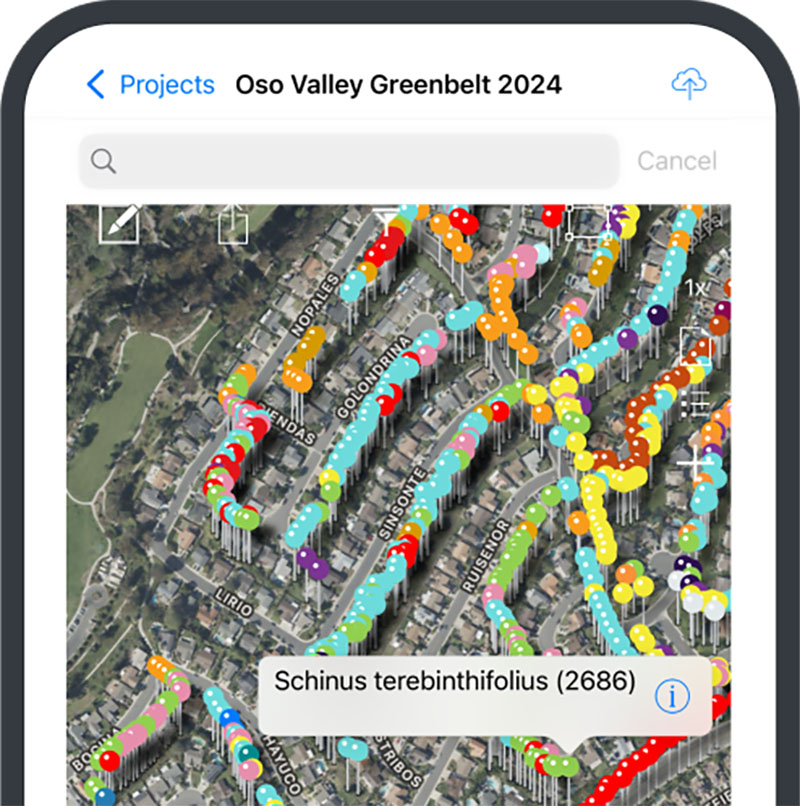 Digital platforms now enable estimators to map every tree on a property, give crews clear job details aligned with customer expectations. Source: ArborNote