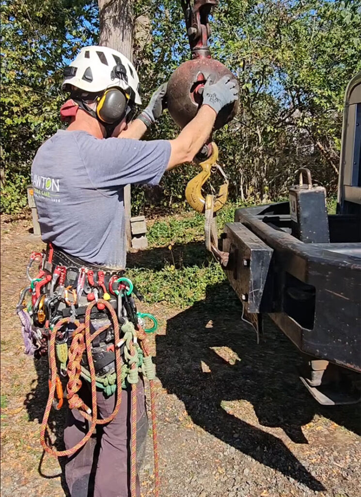 Climbing arborists have a carte blanche of knots, hitches, tools, and devices to help them decide where and how to configure their preferred climbing system. Source: Tchukki Andersen