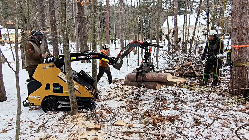 Winter work on frozen ground prevents root damage from heavy machinery.  