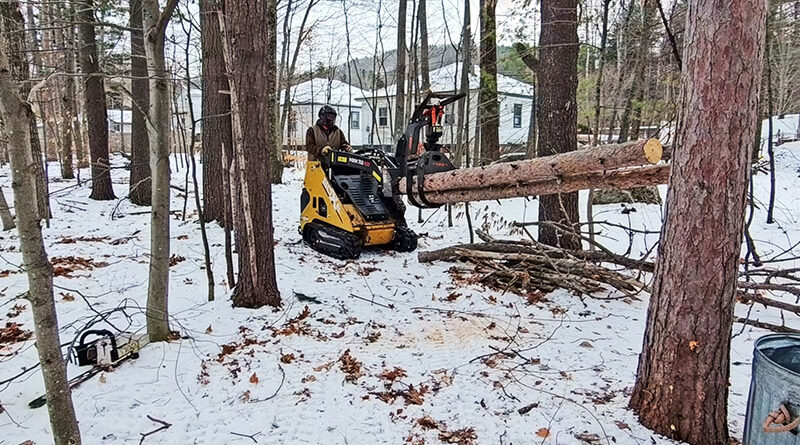 Protecting the understory took careful maneuvering in a small space.  Source: All photos by Tchukki Andersen unless otherwise noted