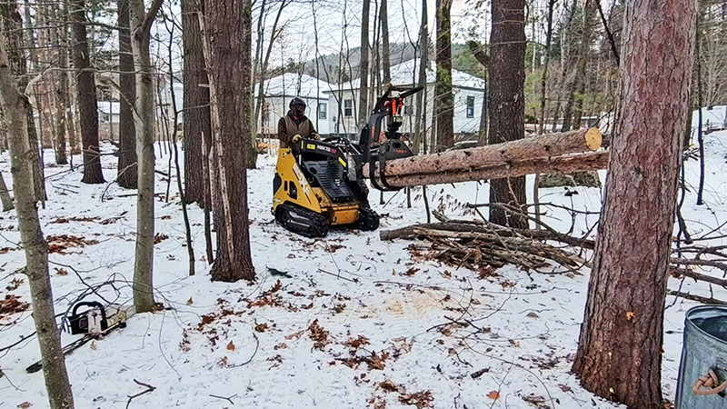 Protecting the understory took careful maneuvering in a small space.  Source: All photos by Tchukki Andersen unless otherwise noted