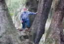 Good mentors teach more than climbing systems and pruning cuts — they teach judgment. Source: All photos from the author