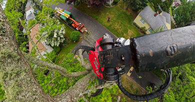 Protecting the understory took careful maneuvering in a small space.  Source: All photos by Tchukki Andersen