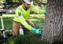 Tree injections can be an effective way to deliver targeted treatments in trees. Source: Rainbow Ecoscience